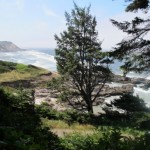 Looking Down at the Pacific from our Cape Perpetua hike.