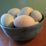 Breakfast, Compliments of Toops and Rosie