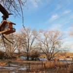 Backyard Blogging in Nambe, New Mexico