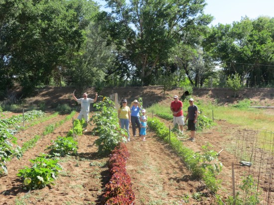 Tending the Community Garden (Run by Estrella Del Norte Vineyard) During our New Mexico Sit 