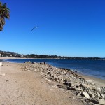 Surfer's Point in Ventura, CA